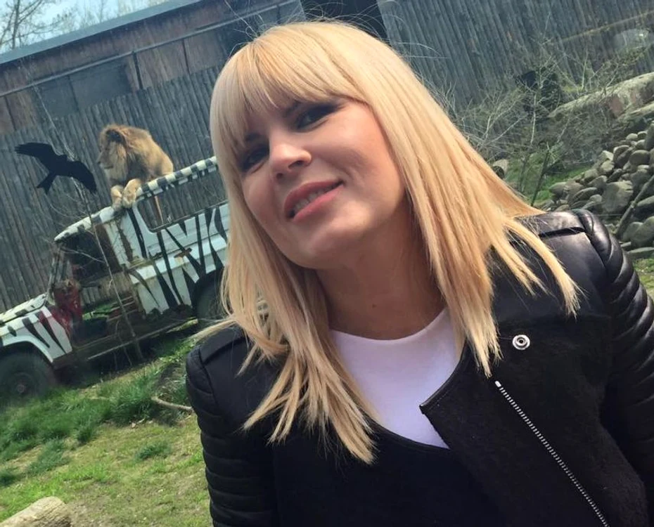
    Elena Udrea a primit aprecierea Iuliei AlbuFoto: captură Wowbiz  