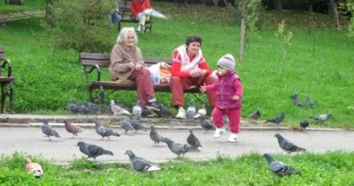 parc zalau