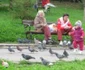parc zalau