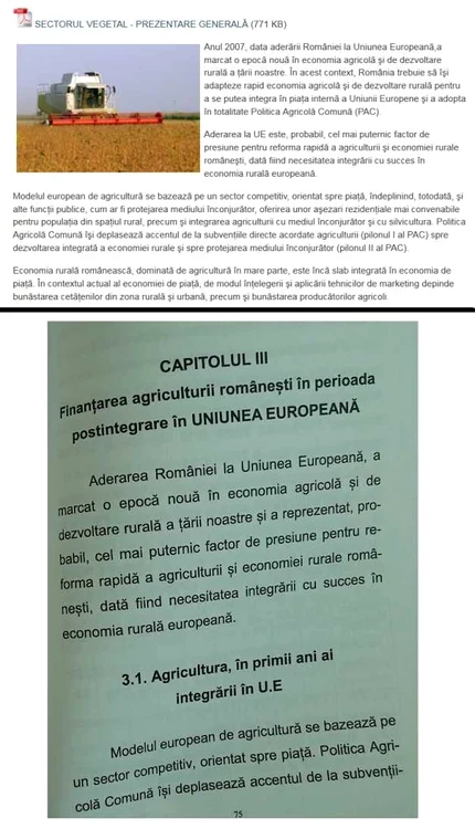 netoiu