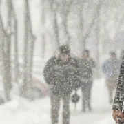 zapada bucuresti 29 inquam octav ganea jpg