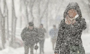 zapada bucuresti 29 inquam octav ganea jpg