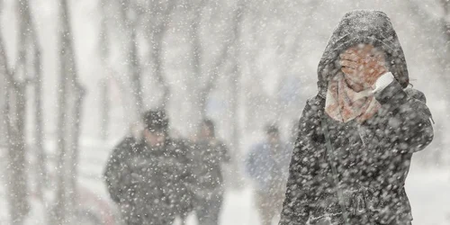 zapada bucuresti 29 inquam octav ganea jpg