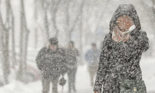 zapada bucuresti 29 inquam octav ganea jpg