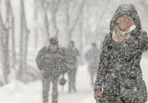 zapada bucuresti 29 inquam octav ganea jpg