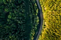 road 4564817 1280 jpg