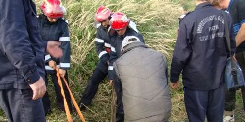 Animalul a fost scos din fântână de pompierii militari
