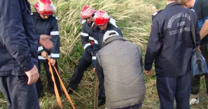 Animalul a fost scos din fântână de pompierii militari