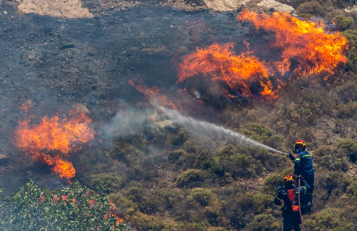Pompierii eleni se luptă cu un incendiu de pădure de patru zile FOTO Profimedia