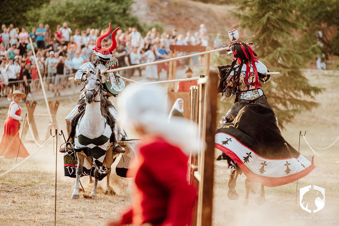 Cei mai buni luptători din întreaga lume se vor duela la Oradea. Foto: Medieval Festival Oradea