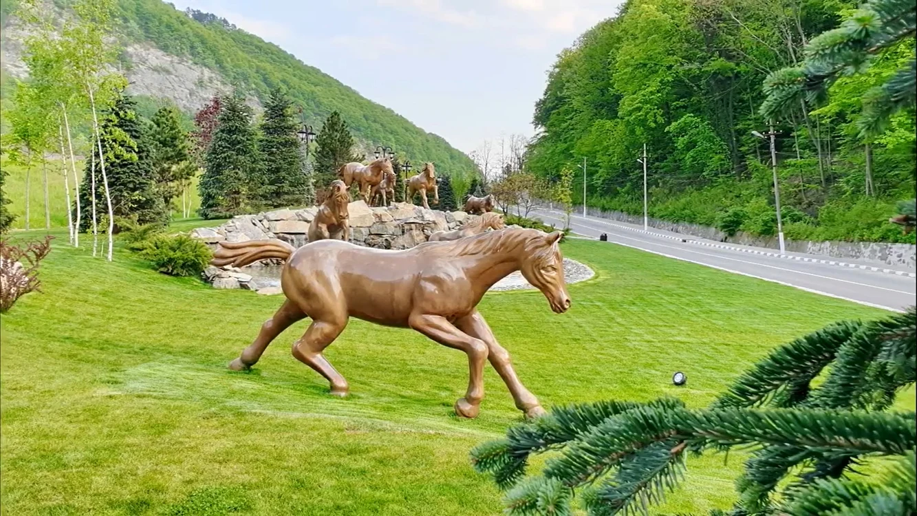 Parcul cu Cai de la Călimănești este o veritabilă atracție turistică FOTO FOTO Daciana Stoica