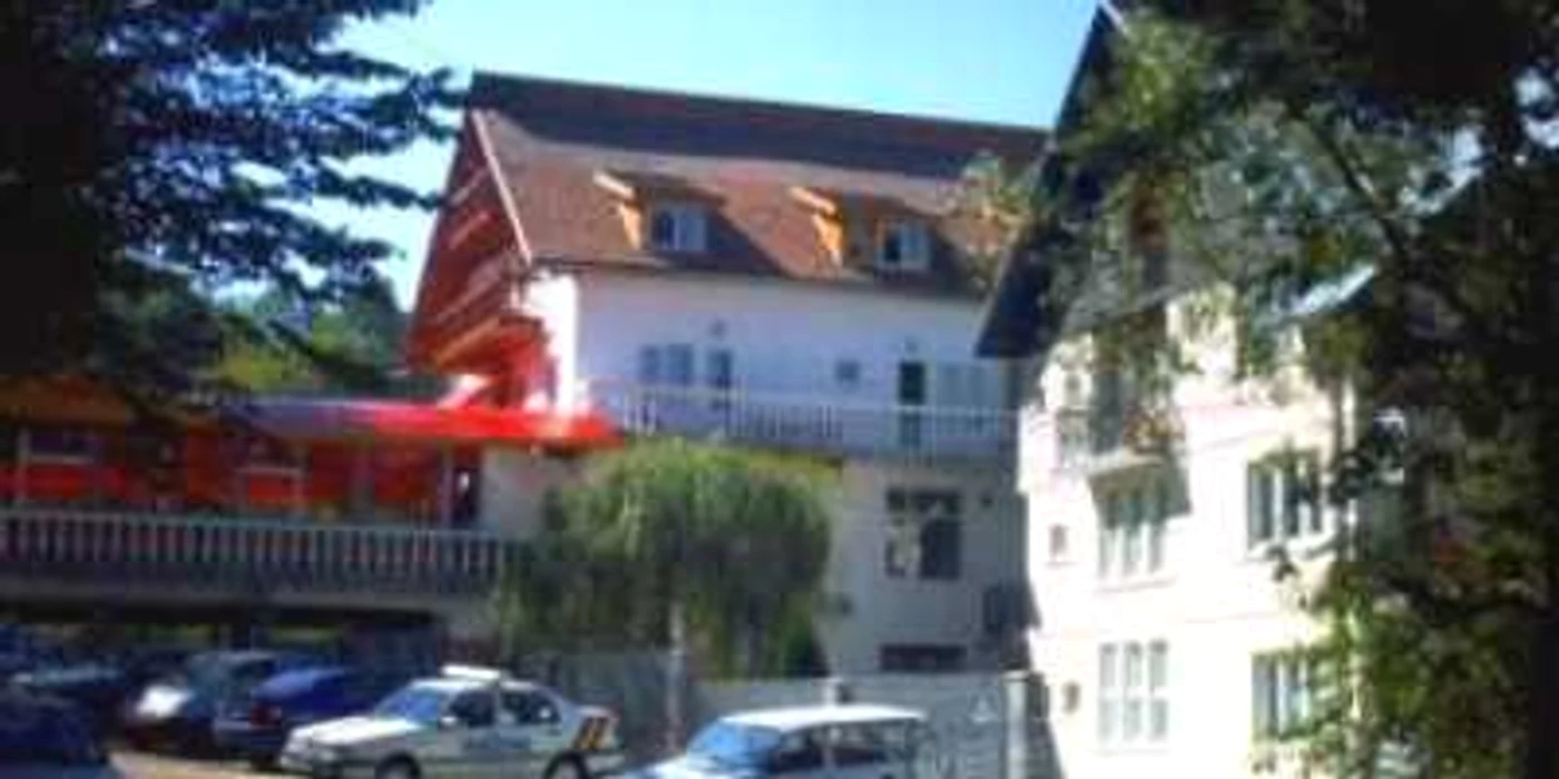 Braşov: EXCLUSIV / Comisie mixtă de control la „bomba alimentară” de la Bran