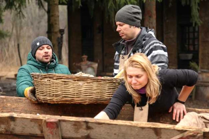 ferma vedetelor foto pro tv