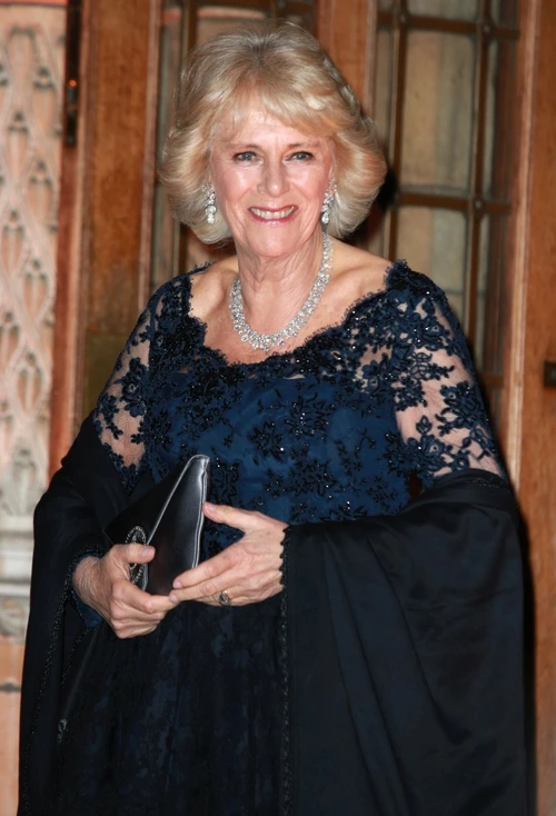 Ducesa Camilla, strălucitoare din cap până în picioare
