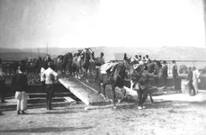 5 Trecerea Dunării de o subunitate a Diviziei 1 Cavalerie pe ponton 1913  Colecția MMN jpg