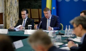 123684125 2715299102056565 7283993896937919982 n jpeg