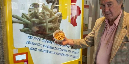 aparatul de cartofi prajiti