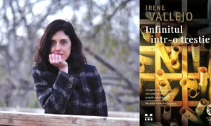 infinitul intr o trestie png