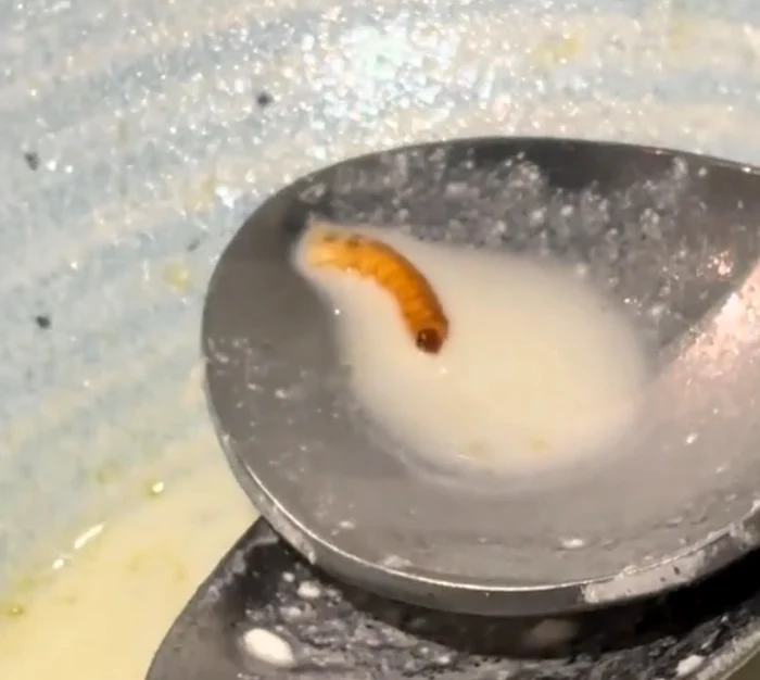 O tânără a găsit un vierme în ciorba de burtă la restaurant / FOTO: Captură TikTok