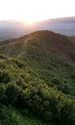 Templu elenistic descoperit de arheologi în situl antic de la Bushat (© Universitatea din Varșovia)