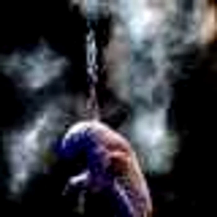 Prima reprezentaţie a grupului Cirque du Soleil va avea loc în această seară, la ora 20.00 foto: news.bbc.co.uk
