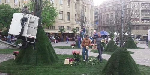 Timfloralis 2016 FOTO Ştefan Both