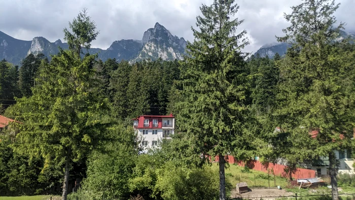 Fotografie realizată la Bușteni cu ajutorul unui Google Pixel 4a / Sursa: Arhivă personală