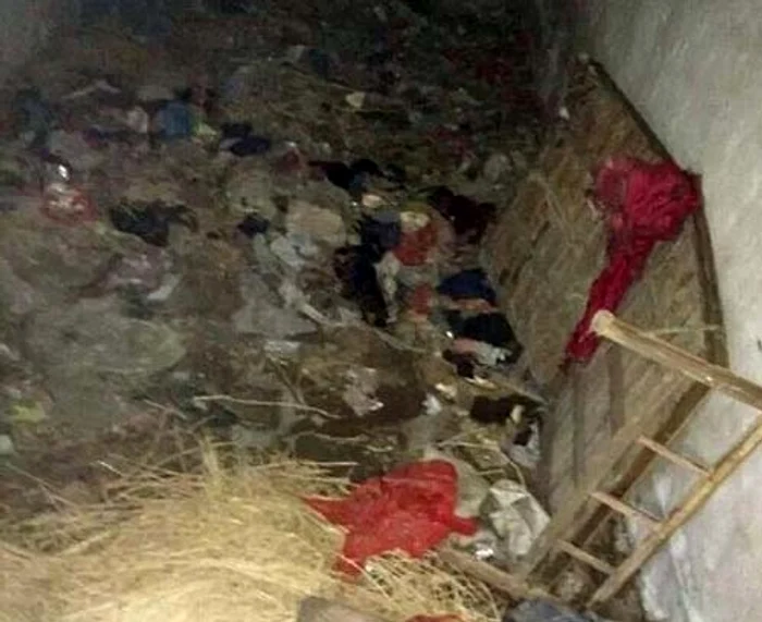 
    foto: viral4real.com  