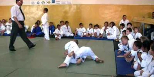judo