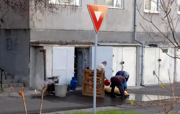 Un orădean s-a gândit că ar fi mai bine să tranșeze porcul în spatele blocului, sub ferestrele vecinilorFoto: ebihoreanu.ro