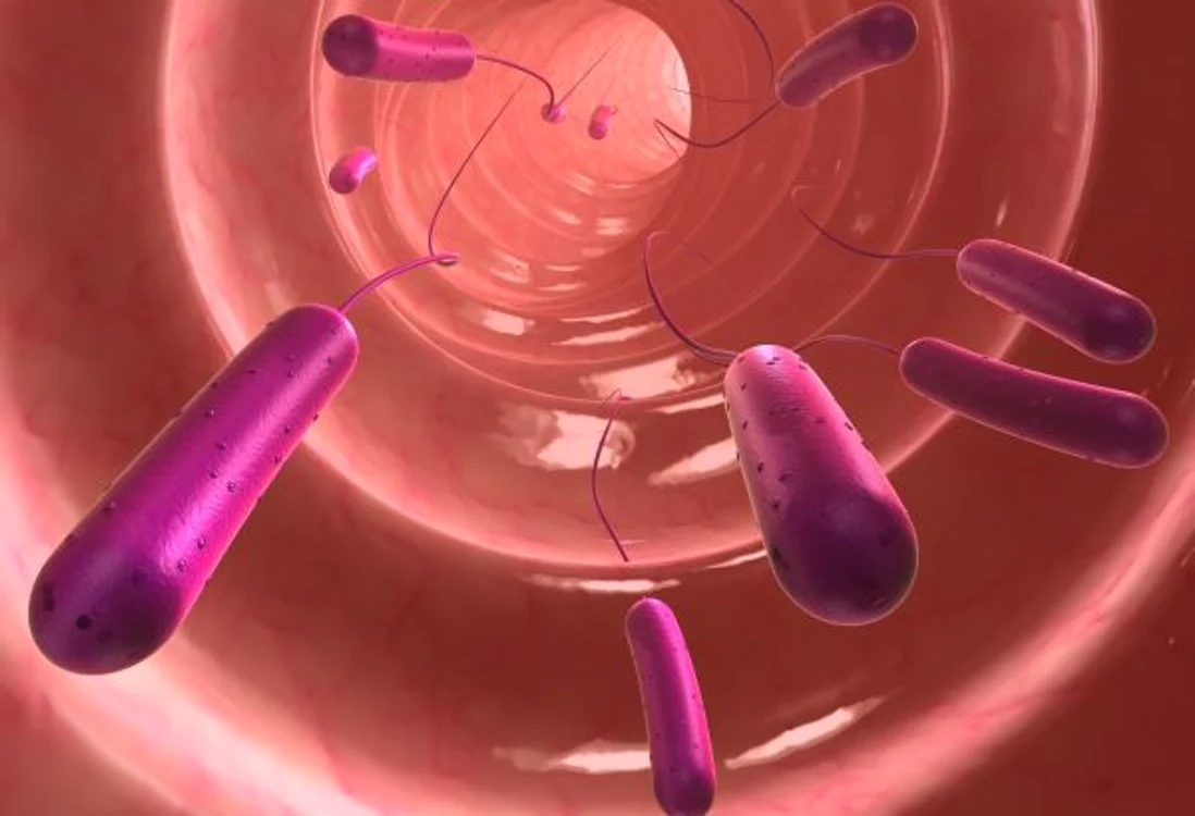 E.coli. Foto: arhiva.