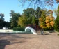 patinoar bt