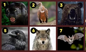 TEST Animalul pe care l alegi iti dezvaluie defectele Sursa foto jagranjosh com jpg