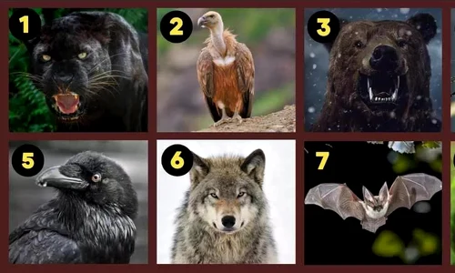 TEST Animalul pe care l alegi iti dezvaluie defectele  Sursa foto jagranjosh com jpg