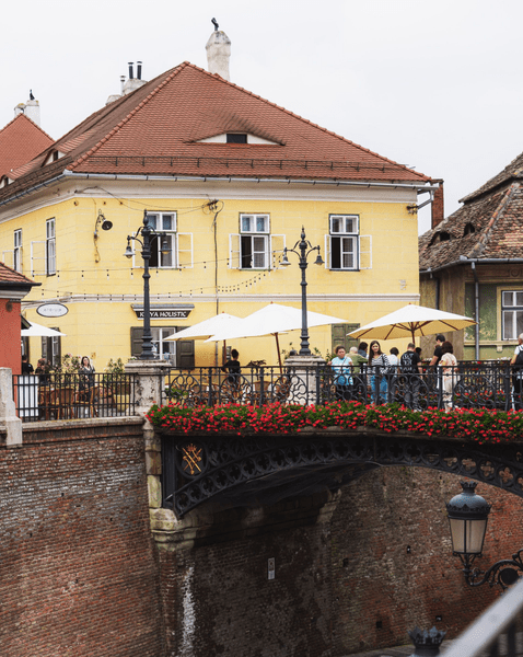 Aventurile unui german în România. „Nu vă suportam, dar acum vă visez, mi-ați intrat în suflet”