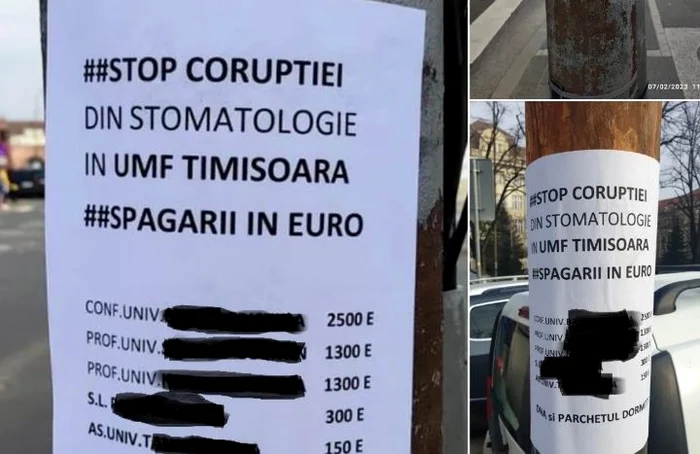 FOTO Facebook/Vocea Timișului