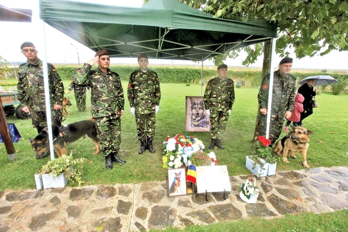 
    Soldatul Max a primit ultimul  onor de la camarazii săiFoto: Roberto Sălceanu  