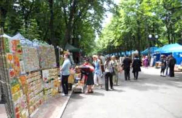 Târgul Meşterilor Populari din Parcul Expoziţiei