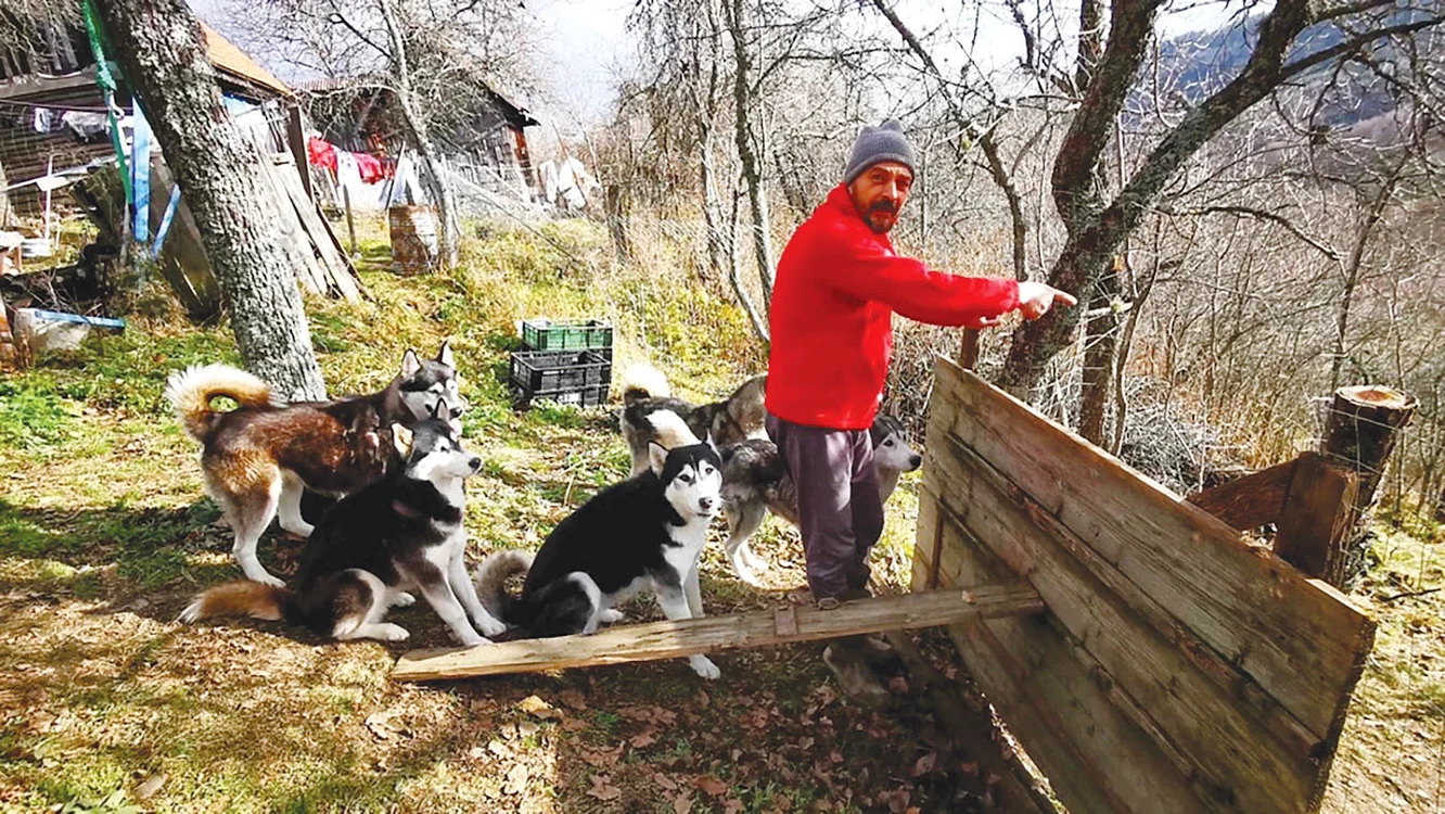 Dan Sabău,  alături de haita sa,  în gospodărie