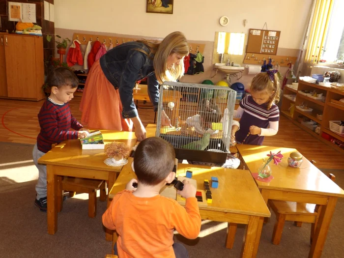 gradinita montessori la turnu severin FOTO Alexandra Georgescu 