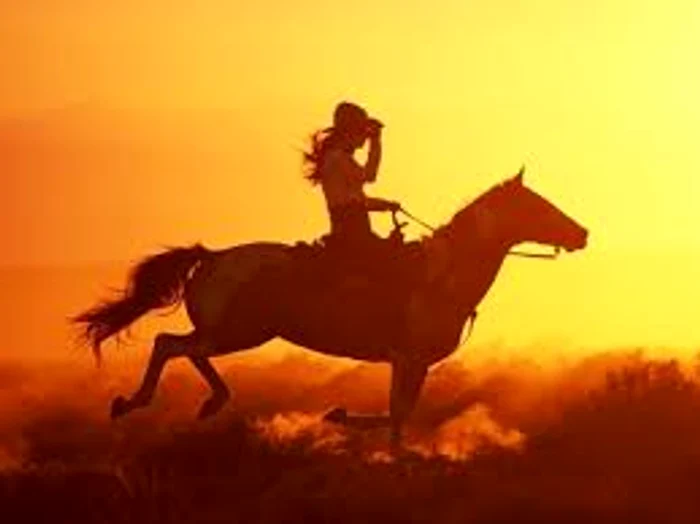 Când galopezi pe un cal nărăvaș, vei avea o viață mai bună Sursa foto: zenves.ro