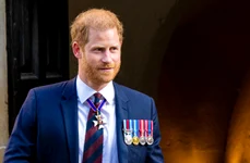 Printul Harry profimedia 0871259953 jpg