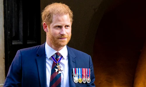 Printul Harry profimedia 0871259953 jpg