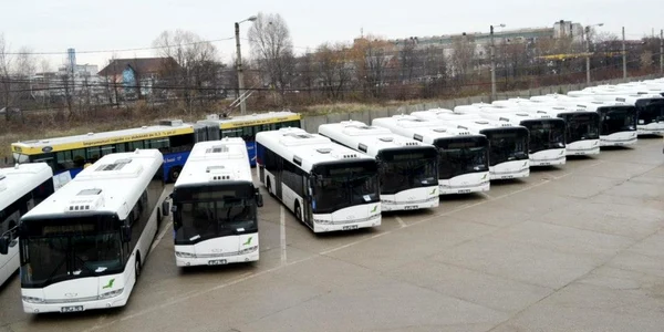 autobuze baia mare