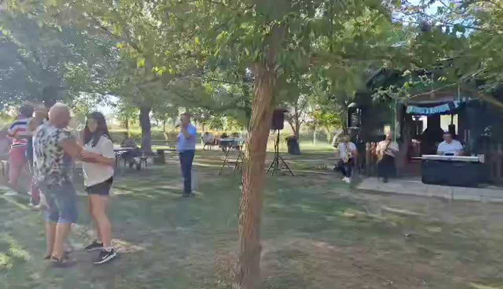 Tărâmul lui Bambi din Vestul României. Unde se află locul magic FOTO VIDEO