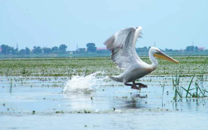 Mai puţini turişti la Tulcea FOTO Arhivă Adevărul