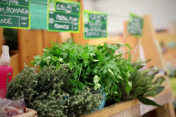 Plante aromatice - Foto: Pixabay 