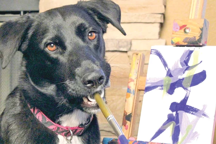 “Poa’ să fie apa cât de rece, sar şi vă salvez cât ai zice peşte!” (Fotografii: photolamd/caters/facebook)