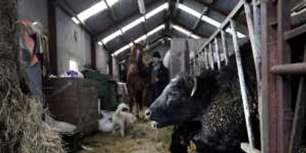 agricultura uk reuters