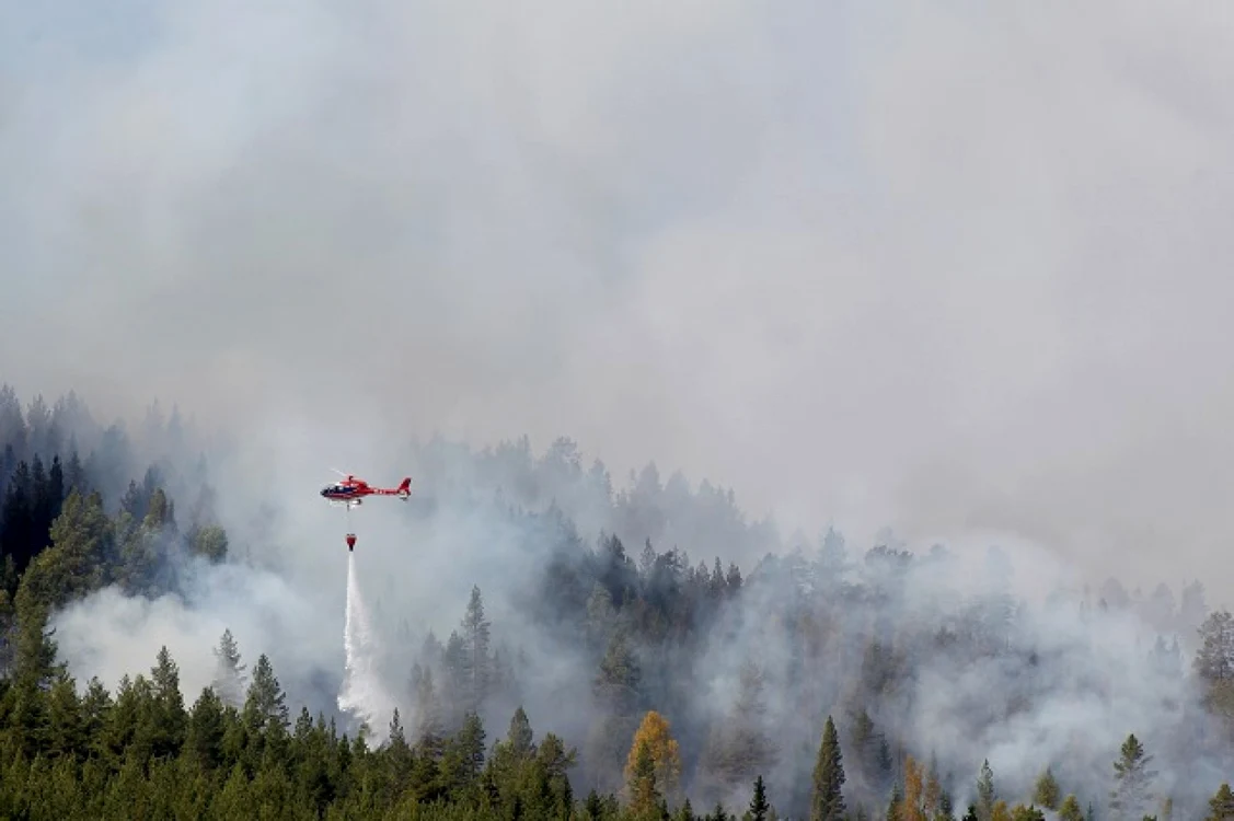 Incendii în Suedia din cauza temperaturilor ridicate